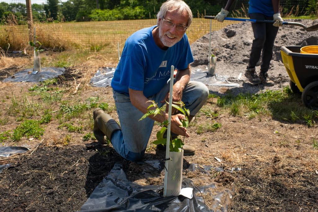 Thomas Klak poses with an American chestnut seedling