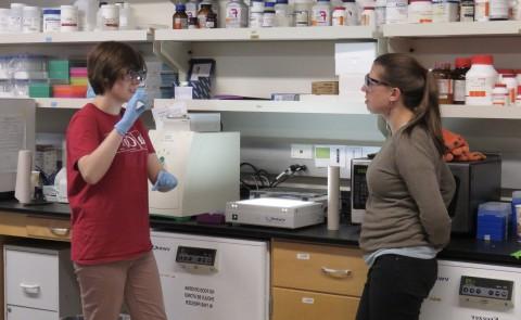 Eva Rose Balog works with student Laura Marvin in her lab on UNE’s Biddeford Campus in 2017.