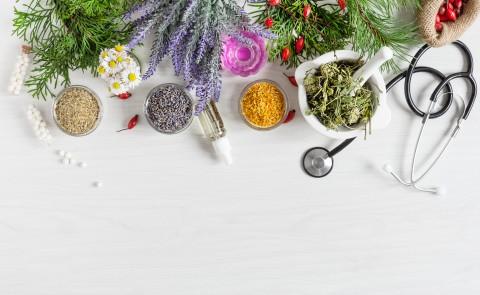 A photo shows several kinds of plants, both whole and ground in bowls, alongside a mortar and pestle and a stethoscope